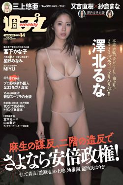 妖精的尾巴38