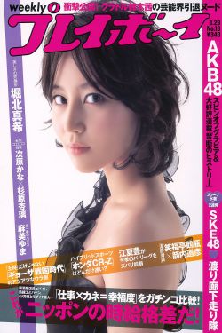 美人教师