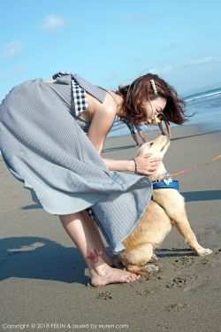 后宫甄嬛传